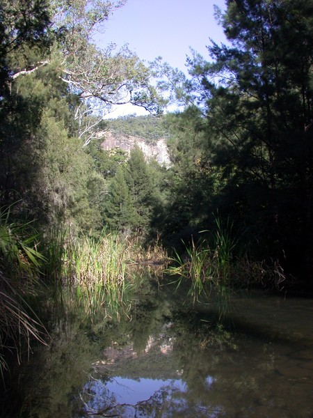 Carnarvon Creek